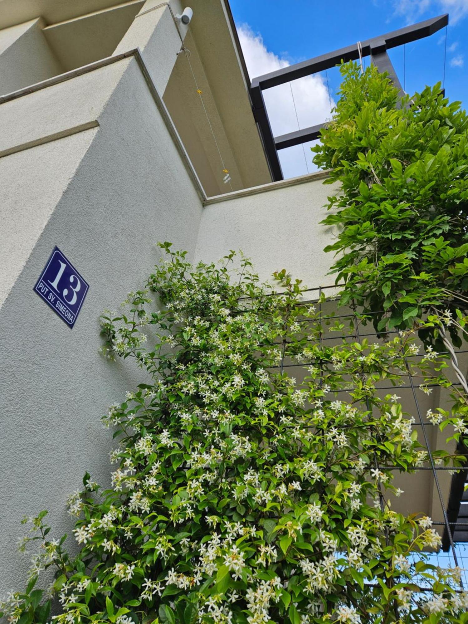 Vanjana Thenovici Exterior photo